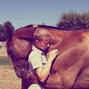 ���� Aleks, ����� ������� - ��������� 12 ������� 2015 � ������ �HORSES�