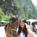  Vera, , 37  -  1  2015    