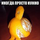 ���� ������, ���������� �����, 37 ��� - ��������� 22 ������� 2015 � ������ ���� ����������