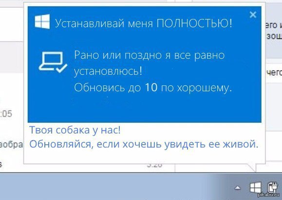   - 3  2015  02:51