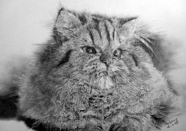 Paul Lung - художник из Гонконга создает свои шедевры при помощи обычного автоматического 0,5 ... - 5