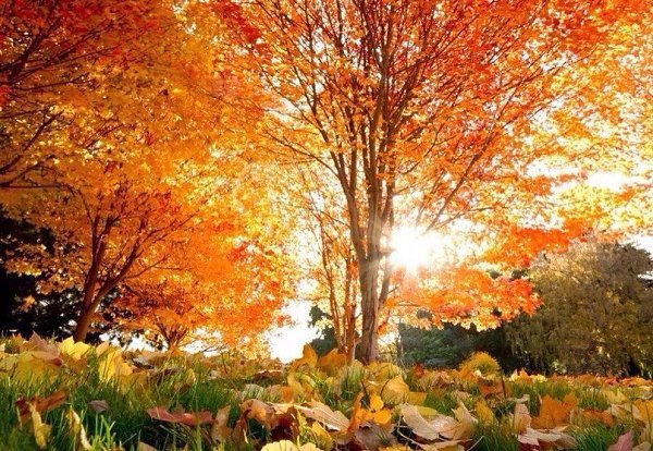 ���������� �����.#������������@ideas.life