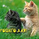 ���� ������;-), ��������, 49 ��� - ��������� 28 ������� 2015 � ������ �������� ��������