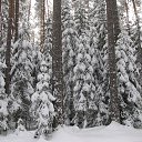  ,  -  26  2016   , 