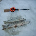 ���� ����, �������������, 58 ��� - ��������� 2 ������ 2016 � ������ ���� ����������