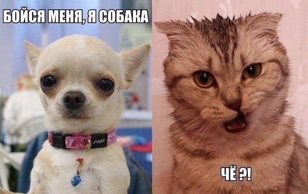    :D - 4  2016  23:04