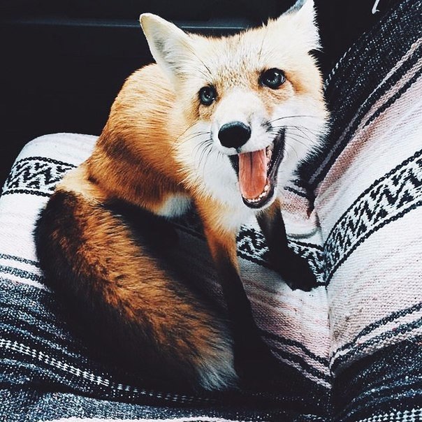 Fashion Club - 30  2016  21:44 - 3