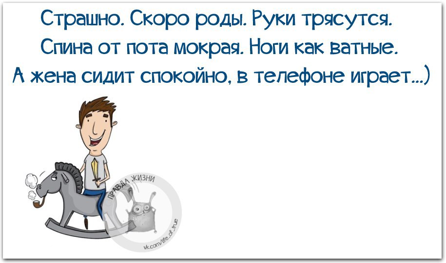   - 24  2016  15:15