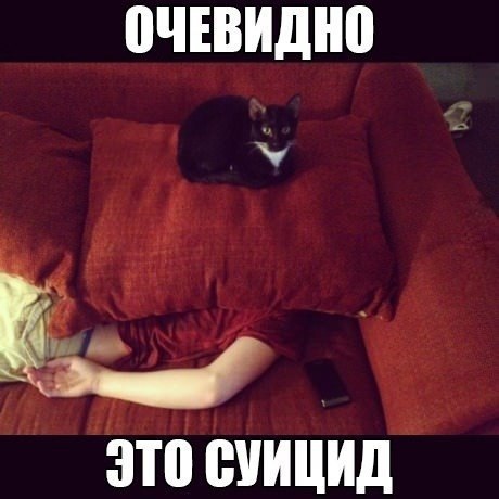    - 18  2016  17:13