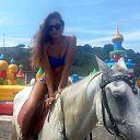 ���� �����, �����������, 36 ��� - ��������� 29 �������� 2015 � ������ ���� ����������