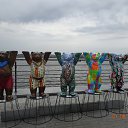  ,  -  24  2015    2015 