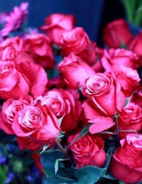 Art & Fun - 8  2016  09:13 - 5