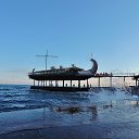  , , 60  -  10  2016     ,08.02.16.