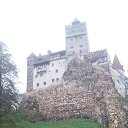 ���� ����, �������, 42 ���� - ��������� 28 �������� 2015 � ������ ���� ����������