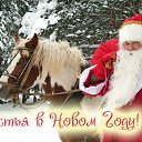 ���� ������, ���������, 55 ��� - ��������� 1 ������ 2016 � ������ �������� ��������