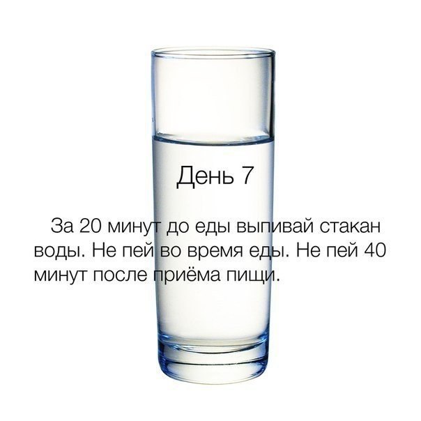      17 .      ,   ... - 7