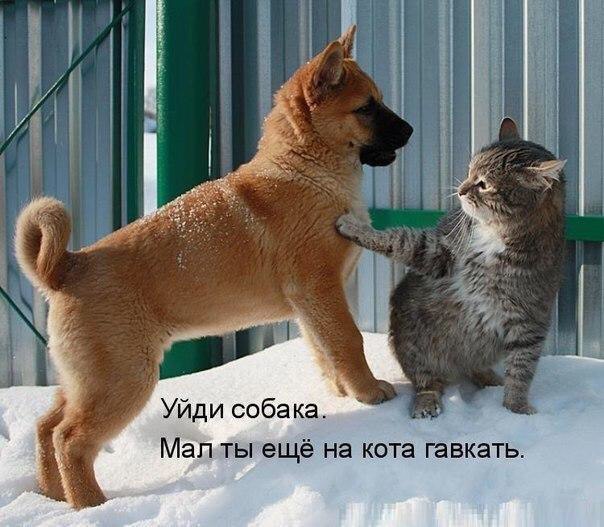 .https://fotostrana.ru/away?to=/sl/kxC2 - 22  2016  12:41