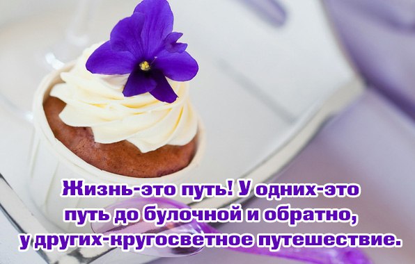 .https://fotostrana.ru/away?to=/sl/kxC2 - 26  2016  07:03