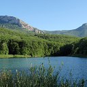 ���� ���������, �����������, 49 ��� - ��������� 3 ������� 2015