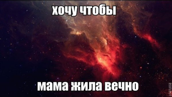   - 17  2015  11:31