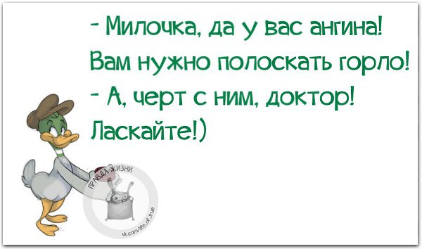   - 8  2016  10:13