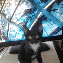 ���� ������, �����������, 55 ��� - ��������� 4 ������� 2015 � ������ ������ ��������