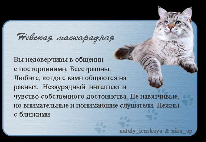   - 18  2015  21:05