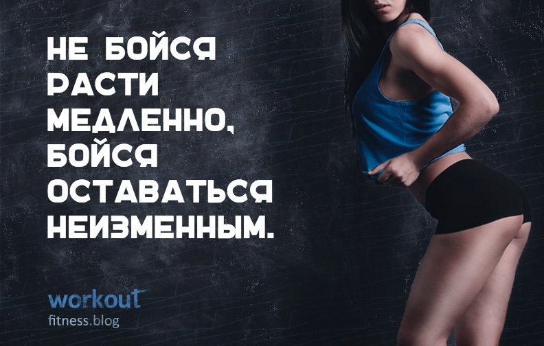 #@fitness.blog