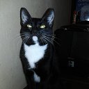 ���� ������, �����������, 55 ��� - ��������� 4 ������� 2015 � ������ ������ ��������