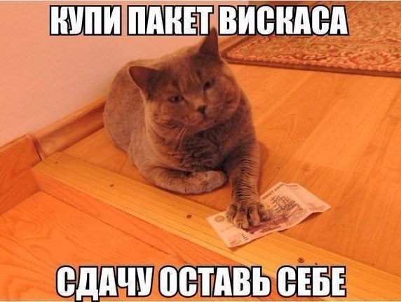 ...  .. - 29  2016  12:52