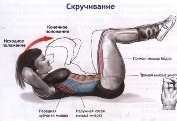 Плоский живот. 1. Качать пресс Цепляйся ногами за батарею или за нижнюю часть дивана, руки за голову ...