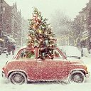 ���� �����, ������ - ��������� 12 ������� 2015 � ������ ����� ���������� ����������
