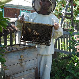 ���� �������, ��������, 45 ��� - ��������� 14 ������� 2016