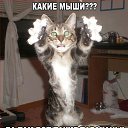 ���� ��������, �����-��������� - ��������� 12 ������� 2015 � ������ �* ��������! *�