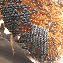 ���� ��������, ����, 69 ��� - ��������� 11 ������� 2015 � ������ ���� ����������