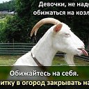 ���� ����, ������, 54 ���� - ��������� 22 ������� 2016 � ������ �������������