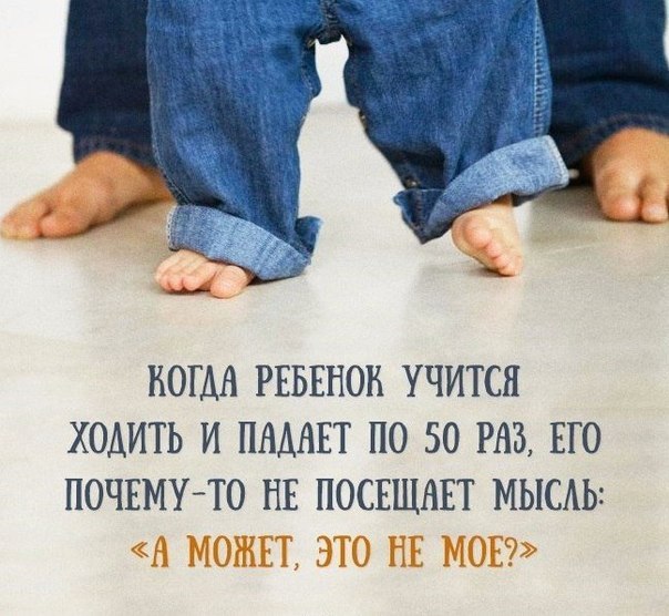 LIFE -  - 7  2016  13:03