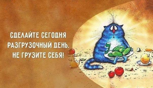   - 5  2016  17:29