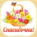 ���� �����, ���������, 39 ��� - ��������� 14 ������ 2016 � ������ �������� ��������