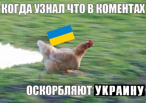 -  - 11  2016  21:48