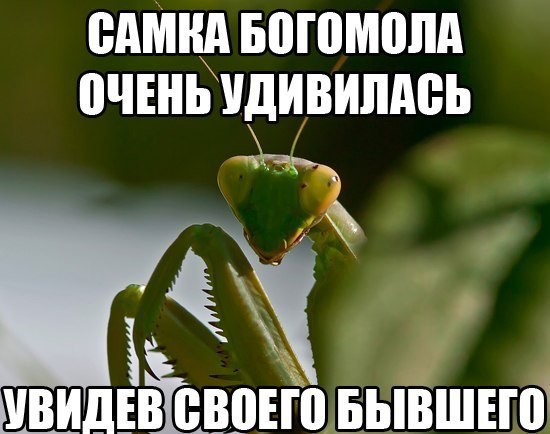   - 21  2015  23:49
