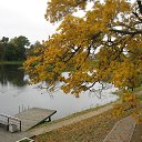   (-261), , 77  -  25  2015    