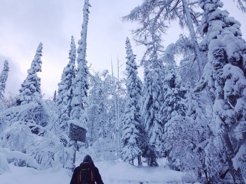 Krasnoyarsk Stolby, National Park. 12/15 - 2