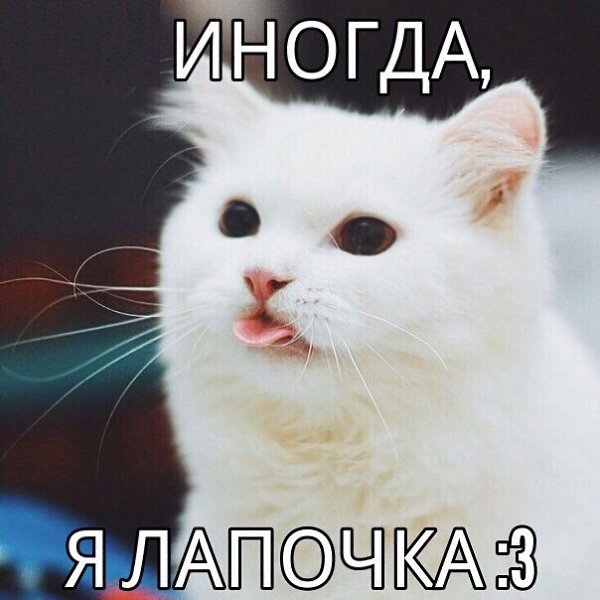, ,   , ...