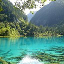 ���� Kim, ���������, 52 ���� - ��������� 9 ������ 2015