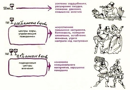  .(Science-Fact)  ,   .      ... - 2