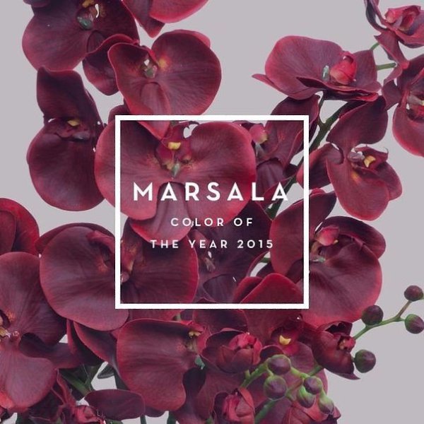   ...Marsala - 2