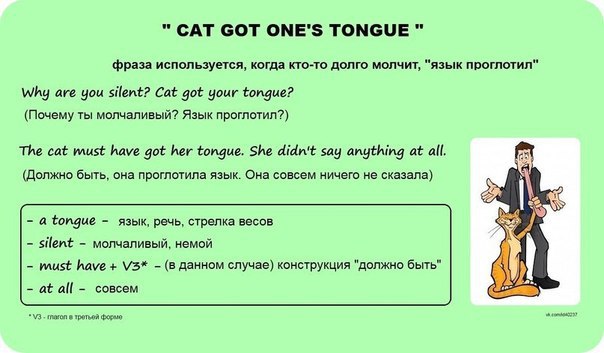 English Idioms - 6