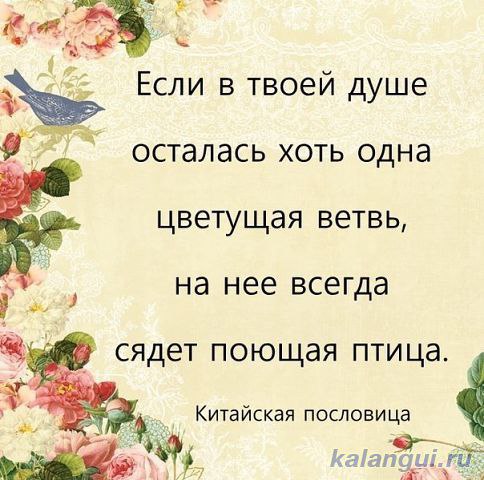   - 22  2015  20:41