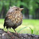 ���� ����, ������ - ��������� 7 ������� 2016 � ������ ���� ����������